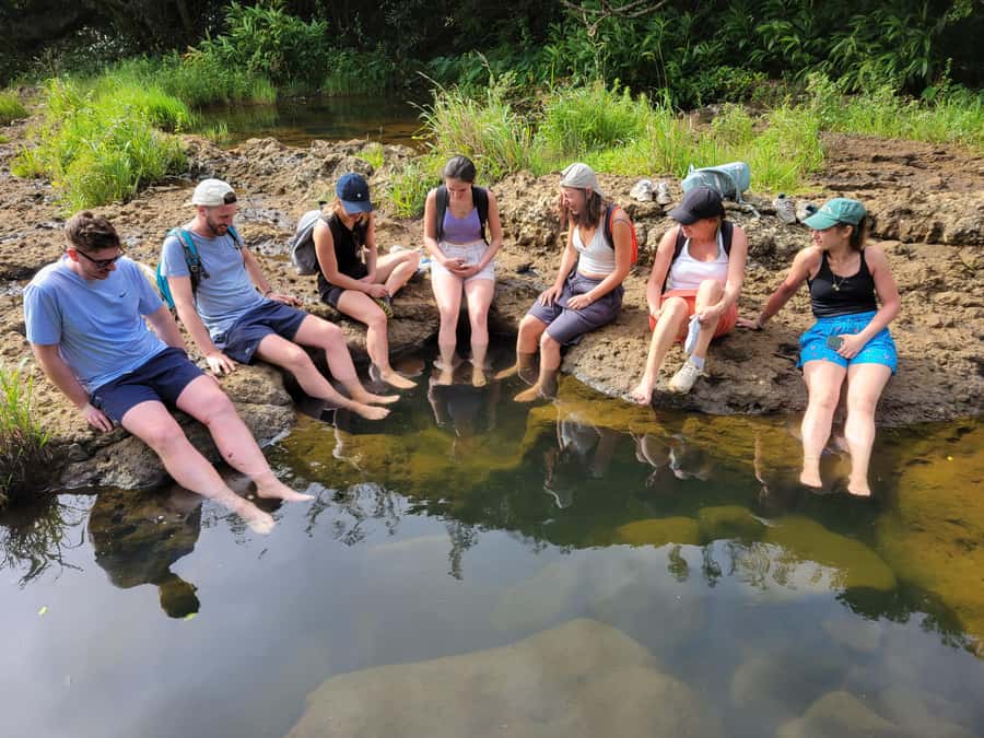 Mauritius-7 waterfalls short loop - Photos, swimming, and the small-group advantage