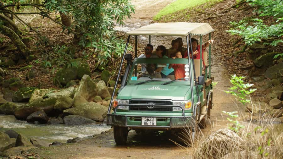 Mauritius: Bel Ombre Nature Reserve 4x4 Safari Adventure - Key points before you book