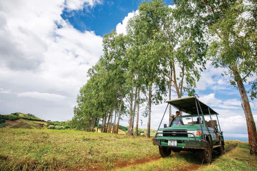 Mauritius: Bel Ombre Nature Reserve 4x4 Safari Adventure - Looking for rare birds and native plants