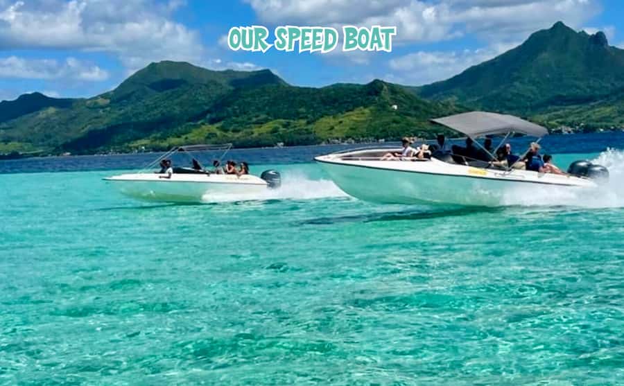 Mauritius: Benitier Island - Swim Dolphins - Speedboat & BBQ - Key points to know before booking