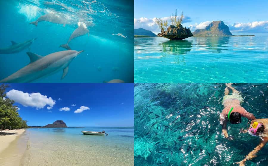 Mauritius: Benitier Island - Swim Dolphins - Speedboat & BBQ - Why the seven-hour route works