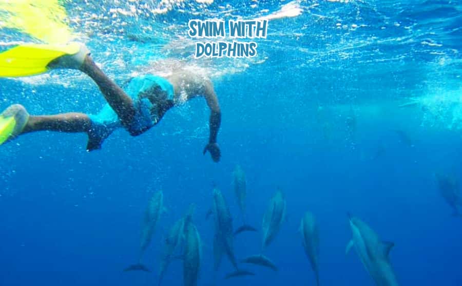 Mauritius: Benitier Island - Swim Dolphins - Speedboat & BBQ - Looking for dolphins off Black River