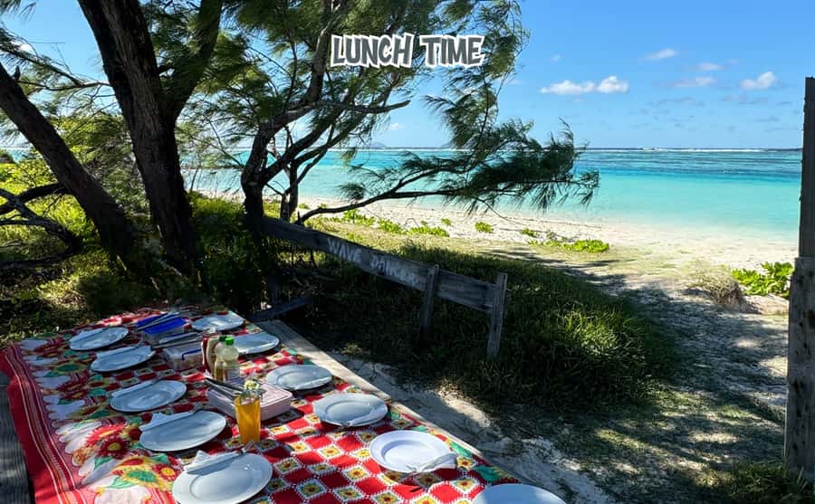 Mauritius: Benitier Island - Swim Dolphins - Speedboat & BBQ - The secret stop for a second swim