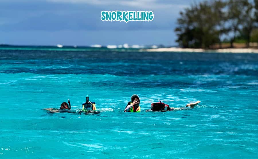 Mauritius: Benitier Island - Swim Dolphins - Speedboat & BBQ - Snorkeling around reefs and Crystal Rock