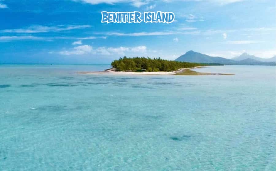 Mauritius: Benitier Island - Swim Dolphins - Speedboat & BBQ - Boat comfort, communication, and group size