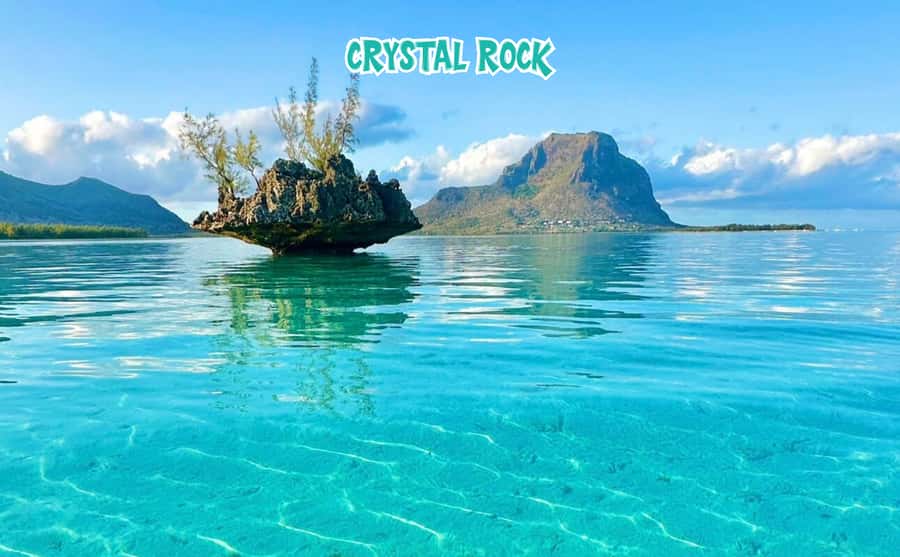 Mauritius: Benitier Island - Swim Dolphins - Speedboat & BBQ - Who will get the most from this tour