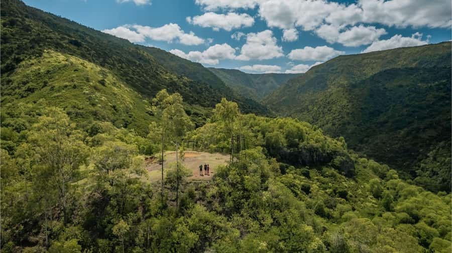 Mauritius: Black River Gorges National Park 3-Hour Hike - Key points to know before you go