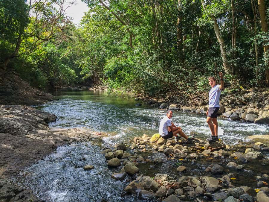 Mauritius: Black River Gorges National Park 3-Hour Hike - Learning the plants and animals of Mauritius