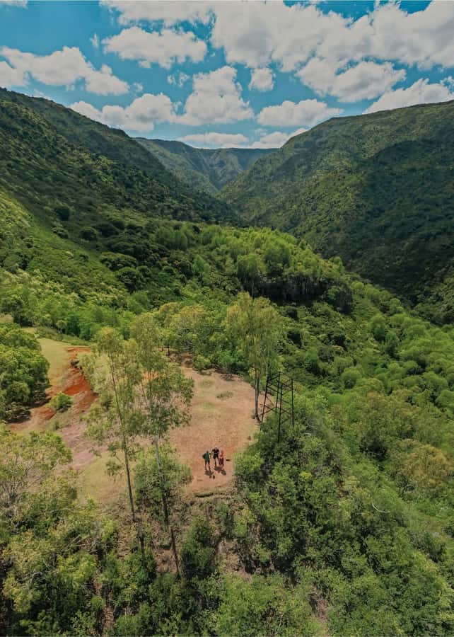 Mauritius: Black River Gorges National Park 3-Hour Hike - Ending with a swim in the Black River