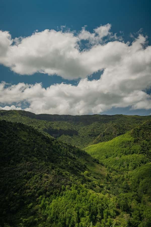 Mauritius: Black River Gorges National Park 3-Hour Hike - Meeting at Riverview Commercial Centre