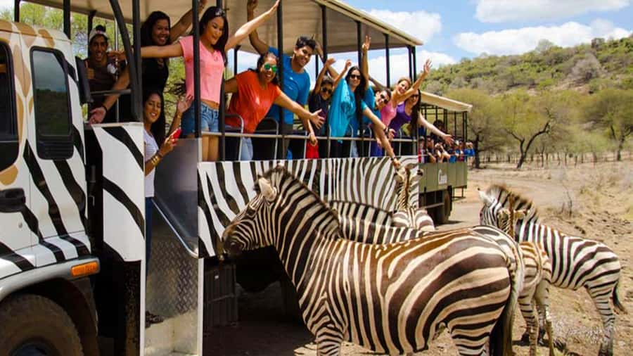 Mauritius: Casela Nature Parks Entrance Ticket with Transfer - Hotel Pickup and Private Transport
