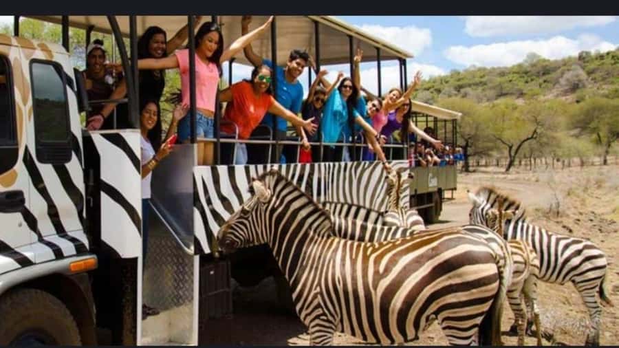 Mauritius: Casela nature parks & flic en flac beach - Key points at a glance