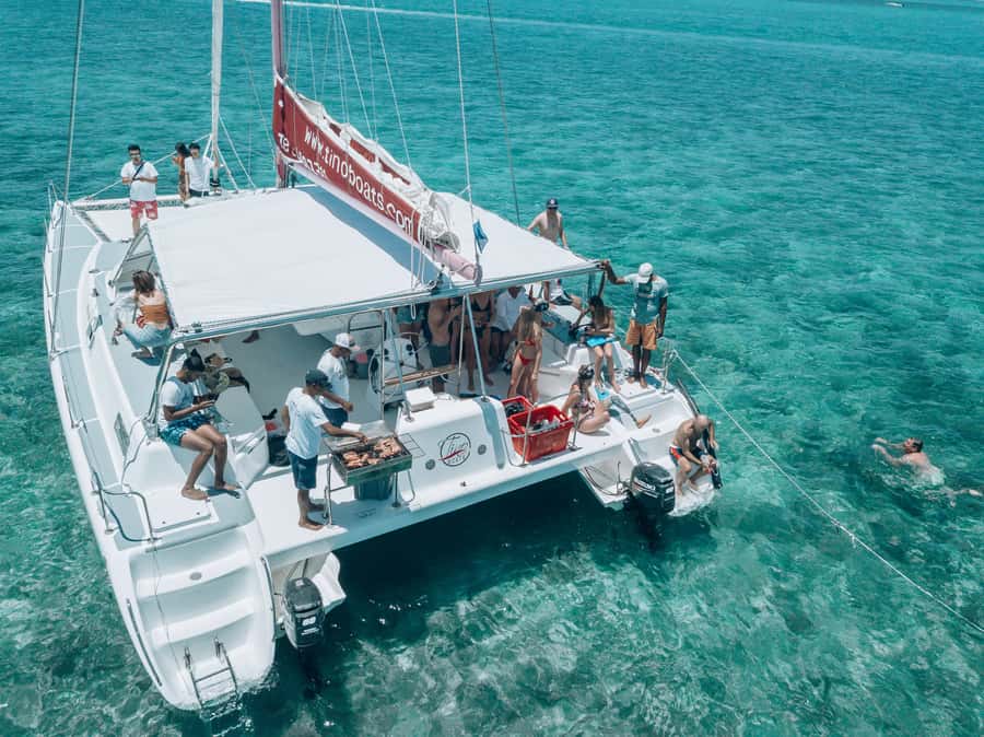 Mauritius: Catamaran Day Cruise to lle aux Cerfs with Lunch - Who will enjoy this cruise most