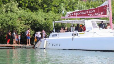 Catamaran Day Cruise to lle aux Cerfs with Lunch