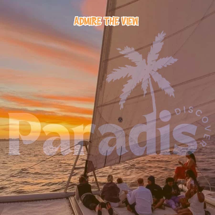 Mauritius: Catamaran Sunset Cruise with Food, Drinks & DJ - Sailing the lagoon and watching for marine life
