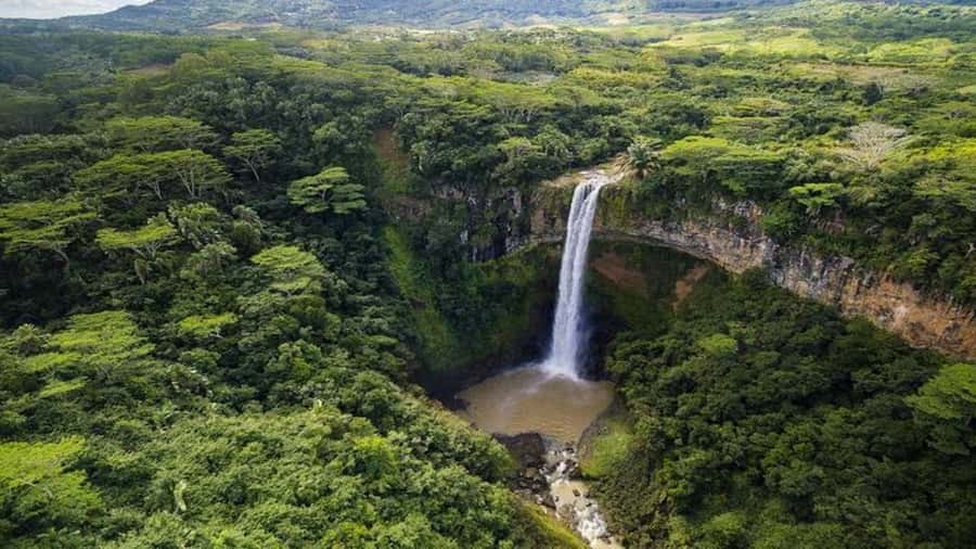 Mauritius: Chamarel 7 Colours & Waterfalls, South-West Tour - Rhumerie de Chamarel and unlimited tasting