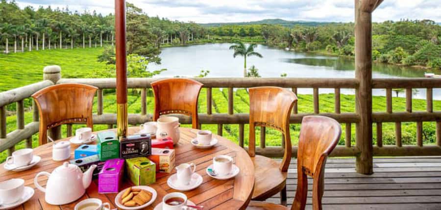 Mauritius: Crocodile Park and Tea Factory Tour with Tasting - Key points to know before booking