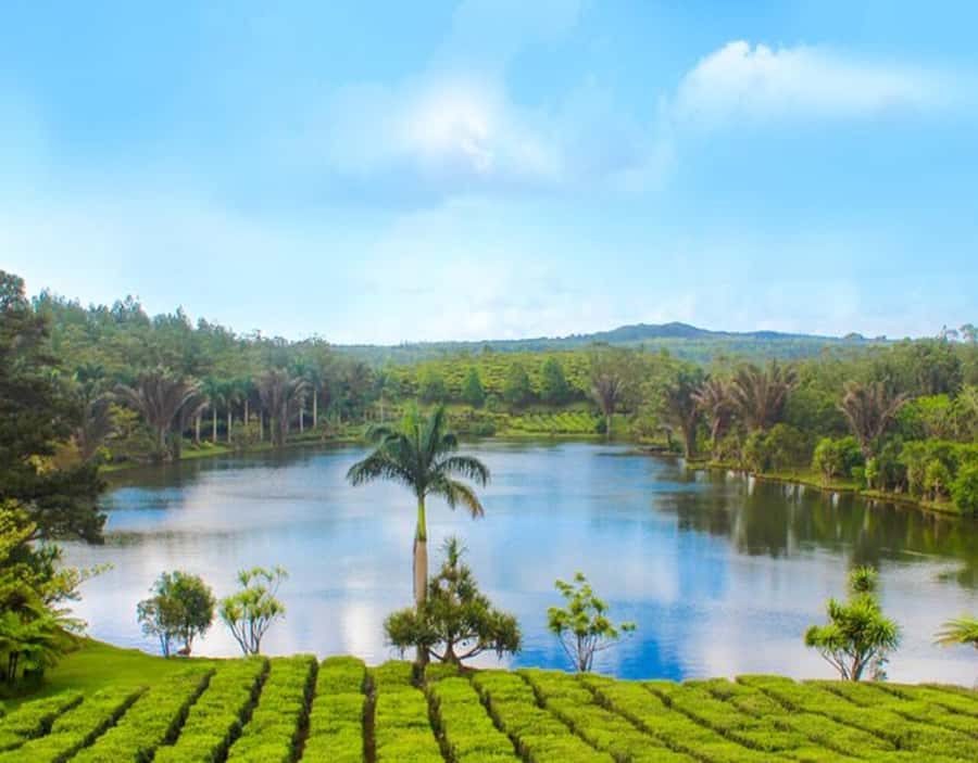 Mauritius: Customizable Private Tour by Car - A private Mauritius day built around your priorities