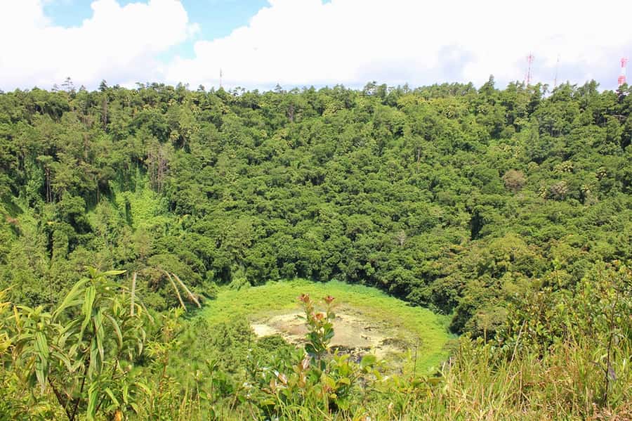 Mauritius Dolphin Encounter and Geographic Marvels Tour - Mare-aux-Vacoas and Grand Bassin