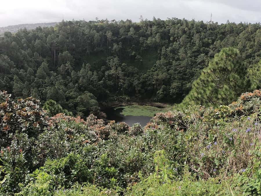 Mauritius: Dolphin Encounter, Trou aux Cerf and Grand Bassin - Grand Bassin, Shiva, and the living side of Mauritius