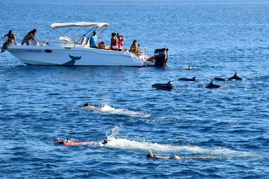 Mauritius: Dolphin Encounter, Trou aux Cerf and Grand Bassin - Trou aux Cerfs and the volcanic center of Mauritius