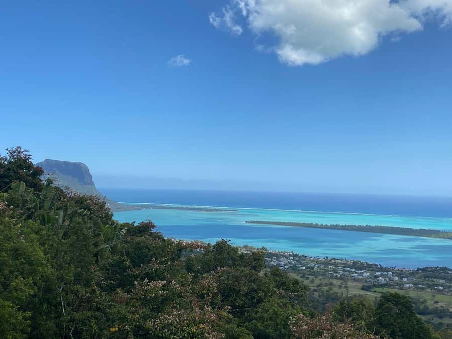 Mauritius: Dolphins watch half-day - Key points to know before booking