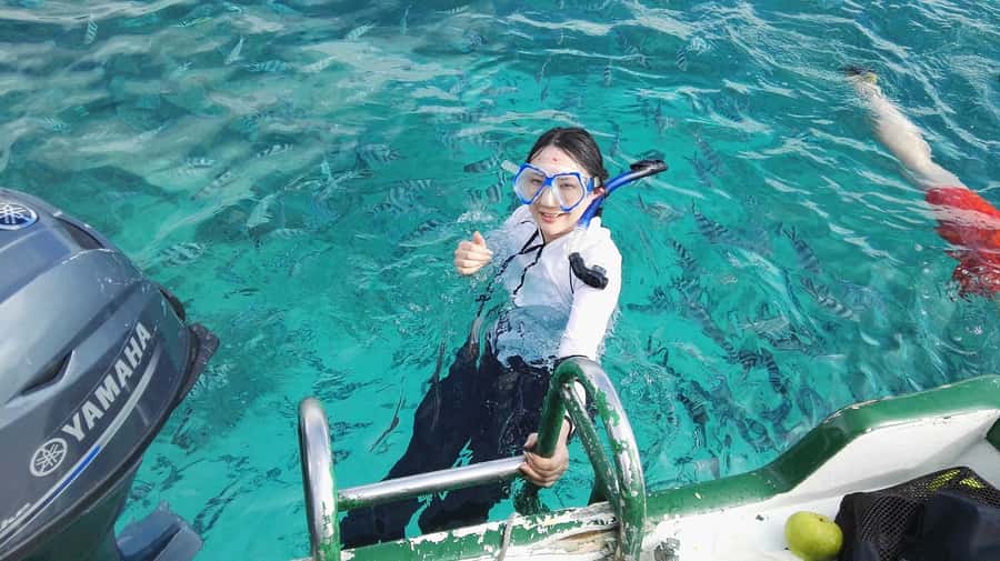 Mauritius: Dolphins watch half-day - The speedboat ride and safety briefing