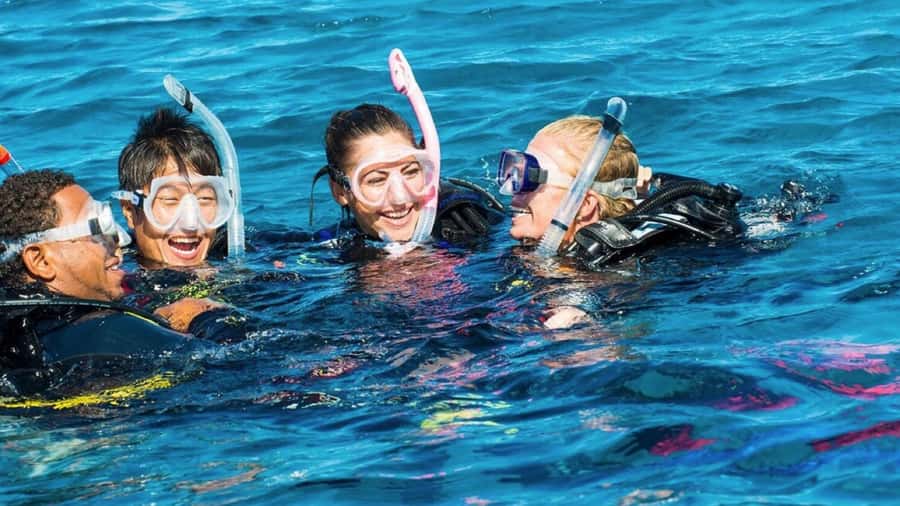 Mauritius: East Belle Mare Scuba Diving Tour - Key points to know before you book