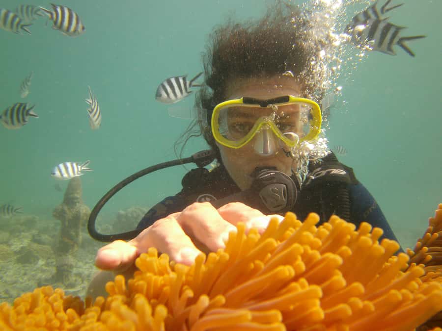 Mauritius: East Belle Mare Scuba Diving Tour - Why Belle Mare is a good place to try scuba
