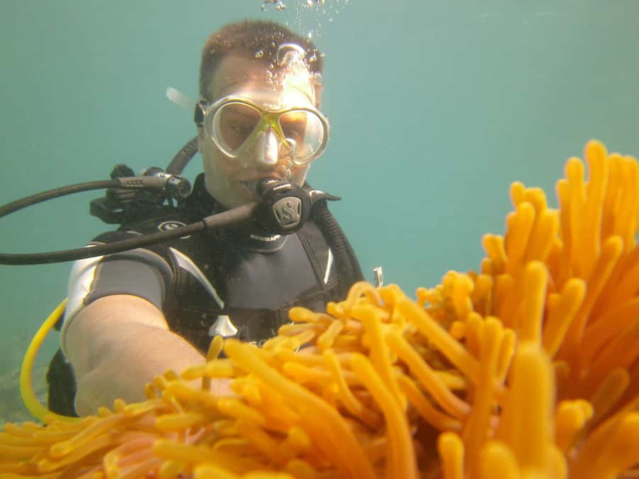 Mauritius: East Belle Mare Scuba Diving Tour - Coral, fish, and possible shipwrecks near Belle Mare