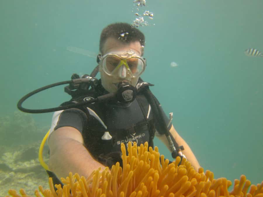Mauritius: East Belle Mare Scuba Diving Tour - Pickup, payment, and cancellation details