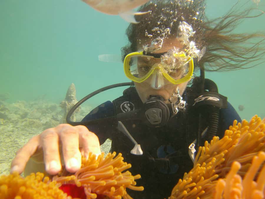 Mauritius: East Belle Mare Scuba Diving Tour - My verdict: a strong first taste, with one booking detail to confirm
