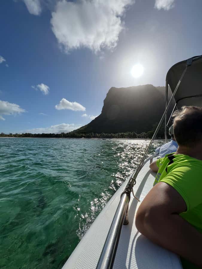 Mauritius Eco Whales Quest, 3-4 hours Expedition - The dolphin stop can change the mood