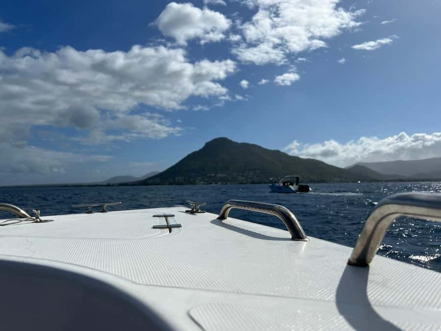 Mauritius Eco Whales Quest, 3-4 hours Expedition - Guide quality makes or breaks the outing