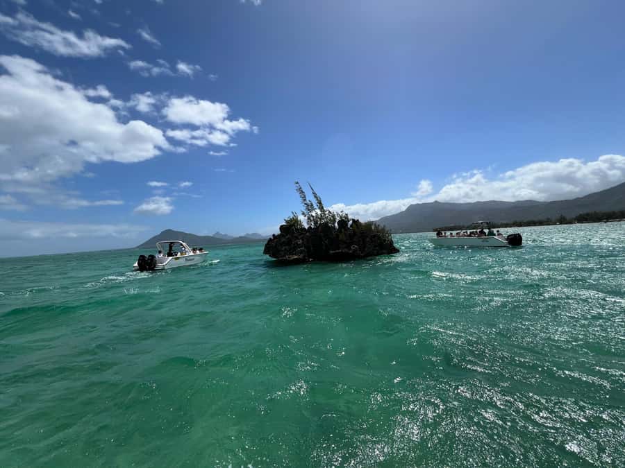 Mauritius Eco Whales Quest, 3-4 hours Expedition - Who will enjoy this Mauritius whale trip?