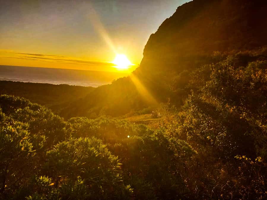 Mauritius: Exclusive Le Morne Sunset Hike & Aperitivo - The 1.5-hour ascent through Le Morne