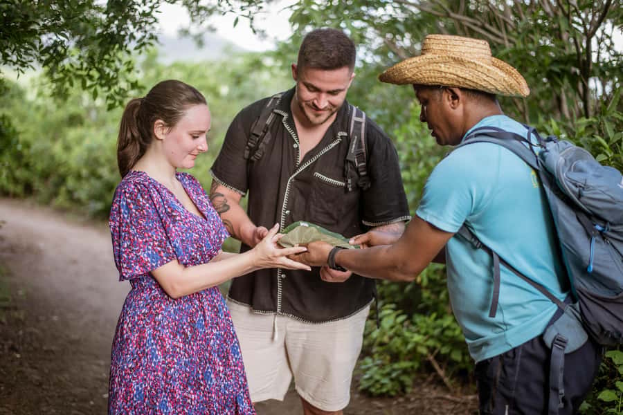 Mauritius: Exclusive Le Morne Sunset Hike & Aperitivo - Sunset over the Le Morne lagoon