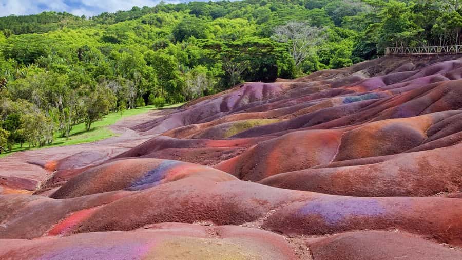 Mauritius: Exclusive South West Tour - Curepipe and Floreal add an everyday side of Mauritius