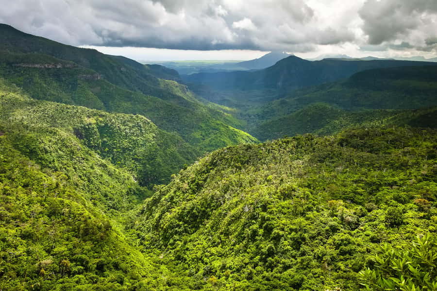 Mauritius: Exclusive South West Tour - Grand Bassin explains Mauritius’s Hindu culture