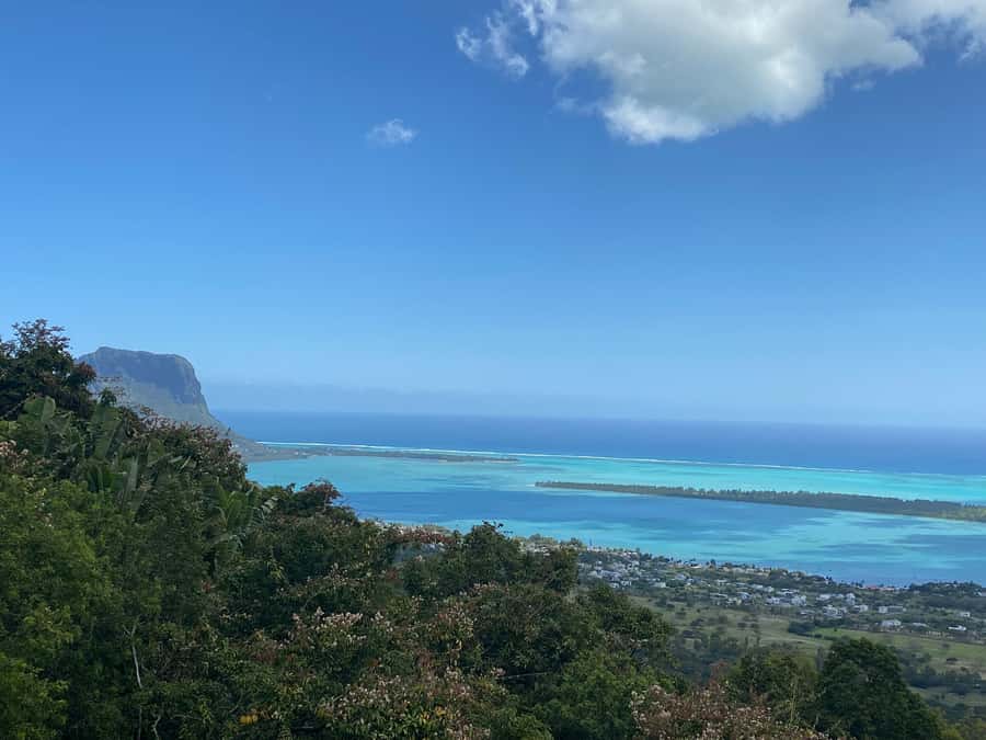 Mauritius: Exclusive South West Tour - Black River Gorges is the scenic heart of the day