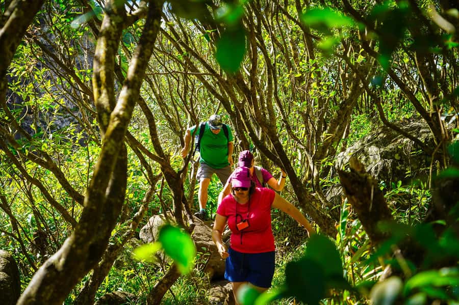 Mauritius: Exploring the Tamarind Falls with a Guide - Key points to know before booking
