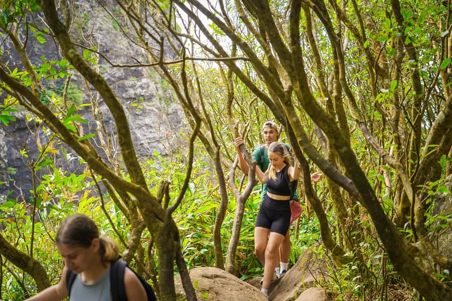 Mauritius: Exploring the Tamarind Falls with a Guide - Photos, lunch, and what the $55 covers