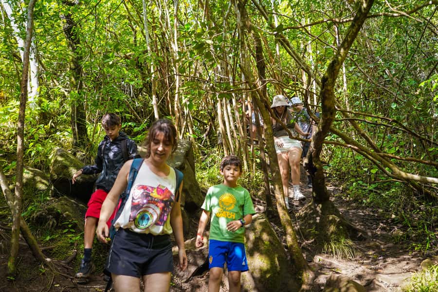 Mauritius: Exploring the Tamarind Falls with a Guide - Guide quality makes the difference
