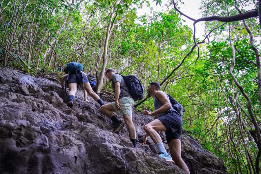 Mauritius: Exploring the Tamarind Falls with a Guide - Is Tamarind Falls worth $55?