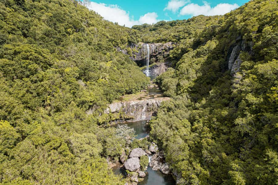 Mauritius: Exploring the Tamarind Falls with a Guide - The rainforest approach and first river crossing