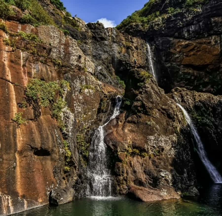 Mauritius: Full Canyon Tamarind Falls 5-Hour Hike - Key points to know before you book