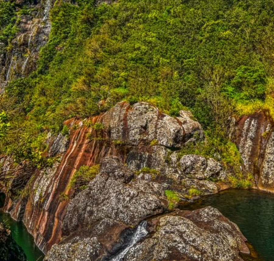 Mauritius: Full Canyon Tamarind Falls 5-Hour Hike - Henrietta Bus Station to the canyon entrance