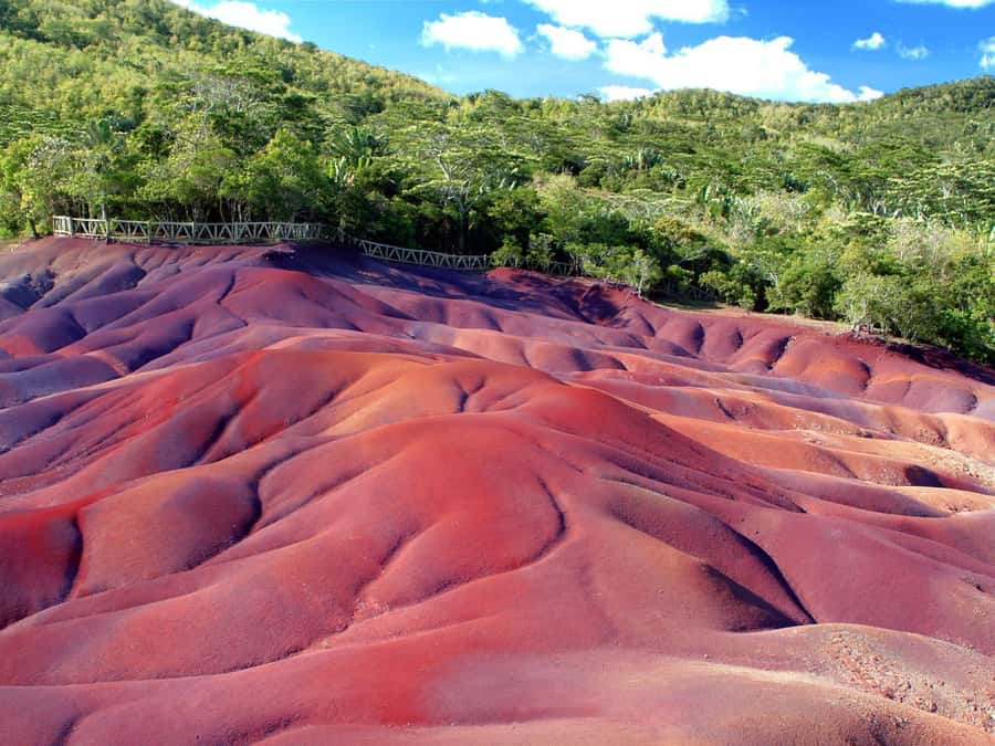 Mauritius: Full Day Private Tour of the South - Key points to know before booking