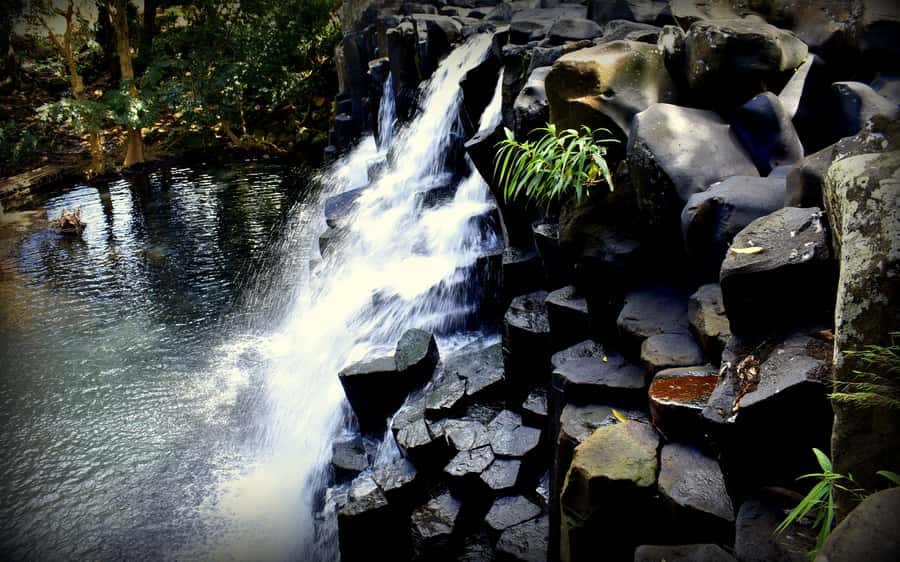 Mauritius: Full-Day Quad Bike Tour with Lunch - Lunch at La Vanille Nature Park