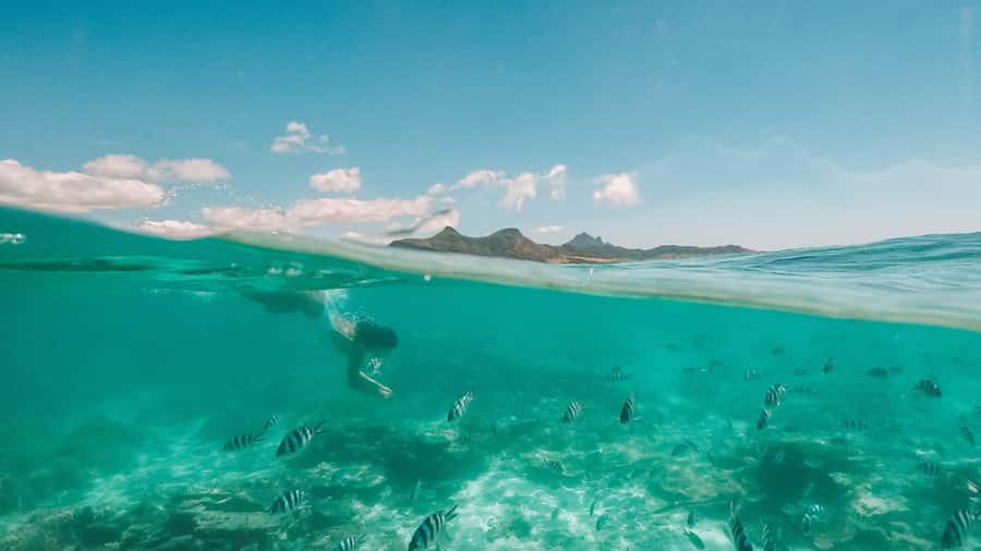 Mauritius: Full-Day Speedboat Tour to Ile aux Cerfs & BBQ - Cruising Up Grand River to the Waterfall